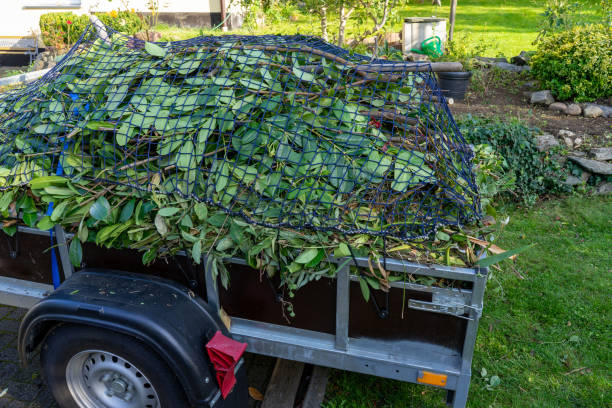 Best Carpet Removal and Disposal  in Fair Haven, NY